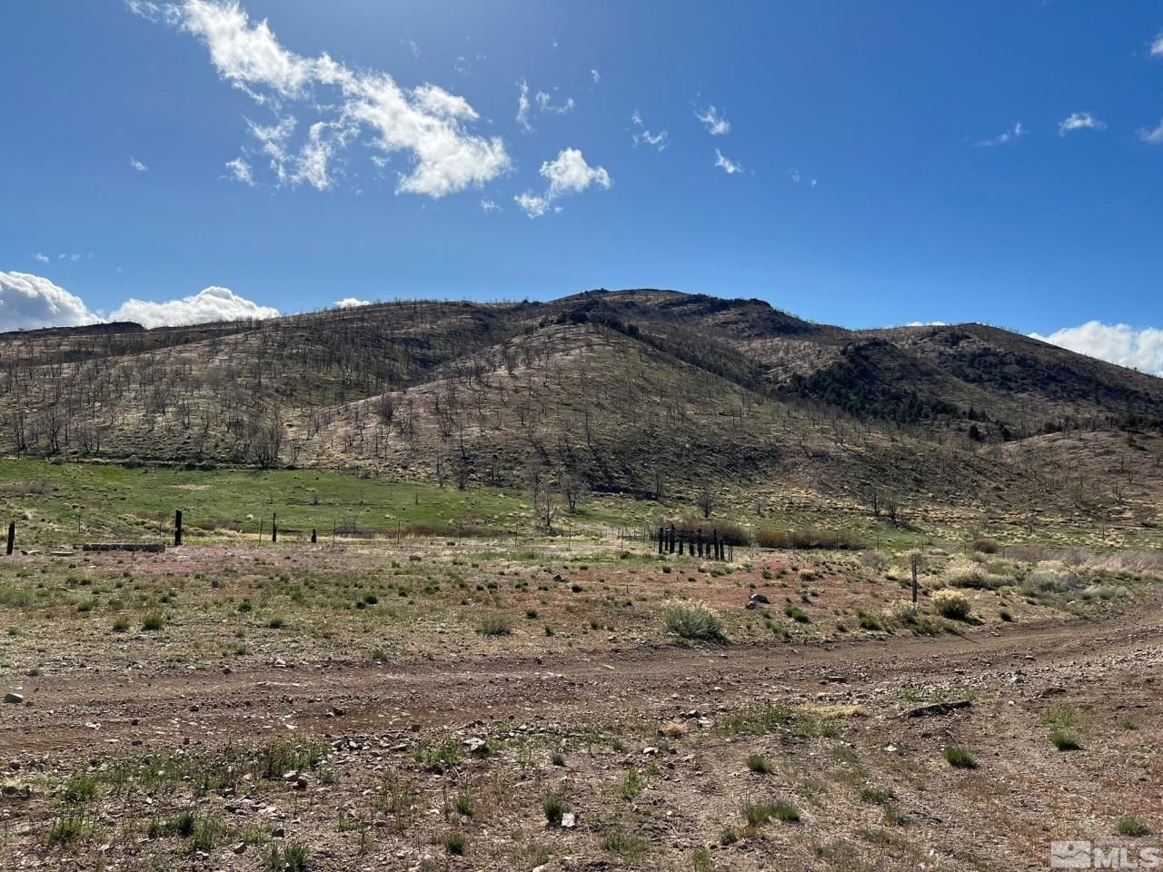 Tbd Parcels At Pine Nut Creek Area, Gardnerville, NV 89410 Photo