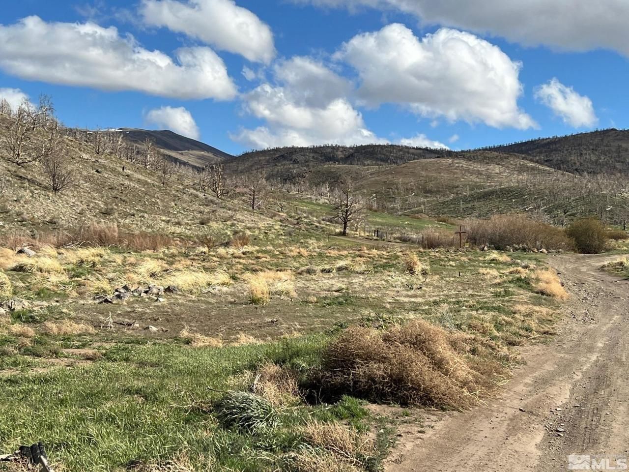 Tbd Parcels At Pine Nut Creek Area, Gardnerville, NV 89410 Photo