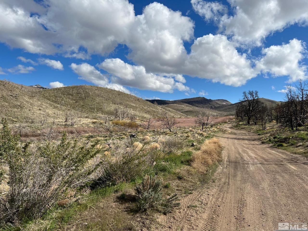 Tbd Parcels At Pine Nut Creek Area, Gardnerville, NV 89410 Photo