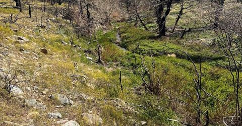 Tbd Parcels At Pine Nut Creek Area, Gardnerville, NV 89410 Photo