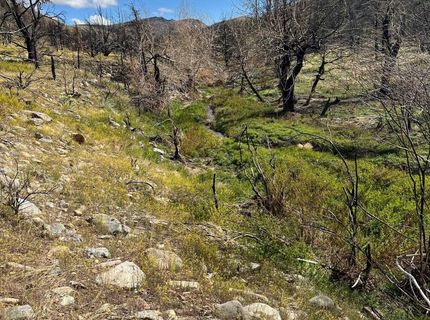 Tbd Parcels At Pine Nut Creek Area, Gardnerville, NV 89410 Photo