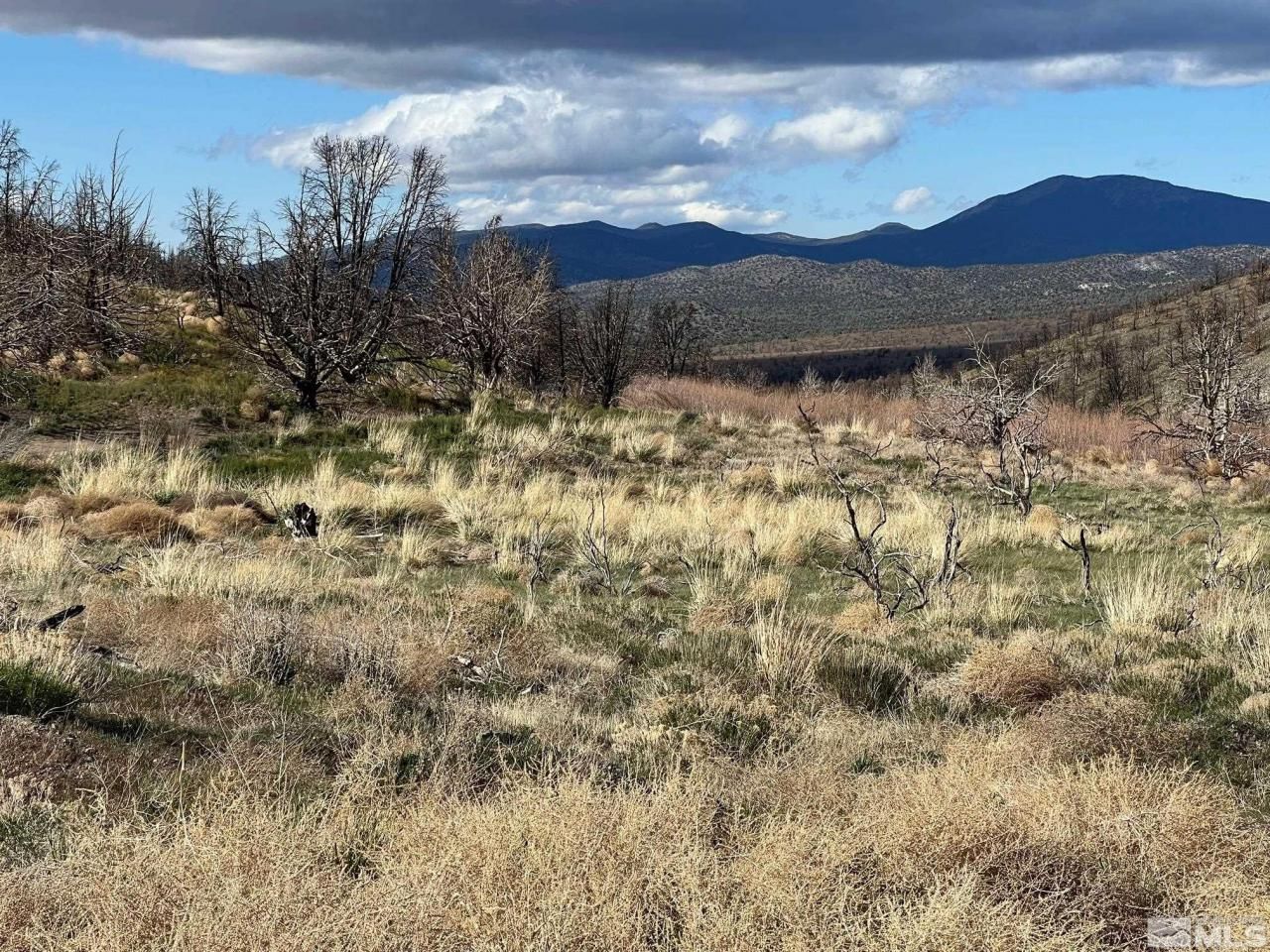 Tbd Parcels At Pine Nut Creek Area, Gardnerville, NV 89410 Photo