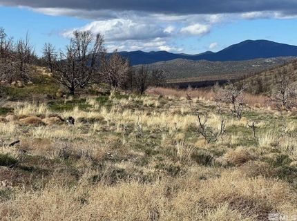 Tbd Parcels At Pine Nut Creek Area, Gardnerville, NV 89410 Photo