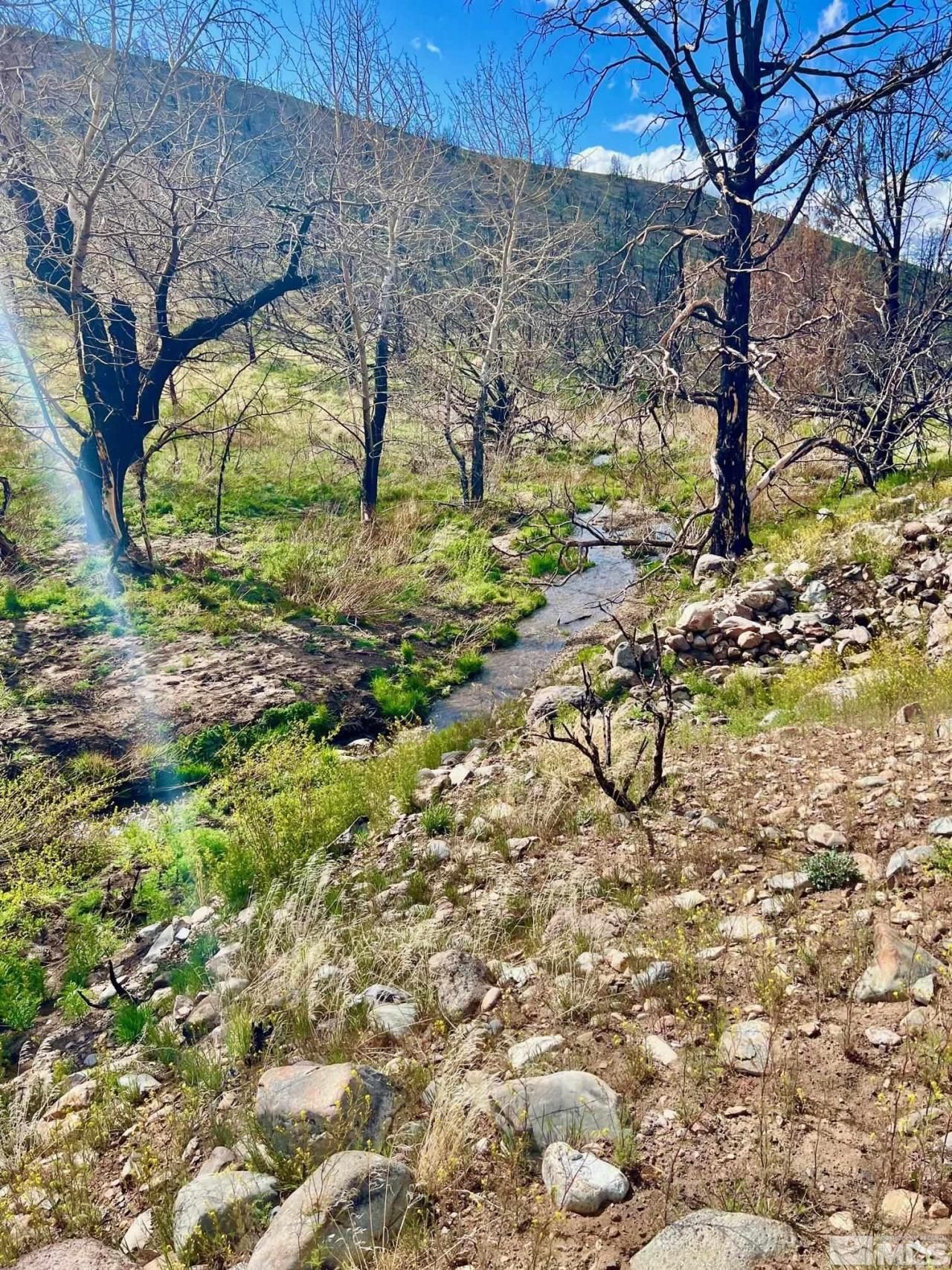 Tbd Parcels At Pine Nut Creek Area, Gardnerville, NV 89410 Photo