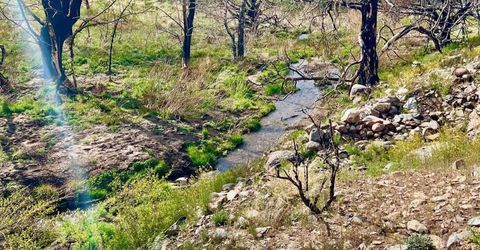 Tbd Parcels At Pine Nut Creek Area, Gardnerville, NV 89410 Photo