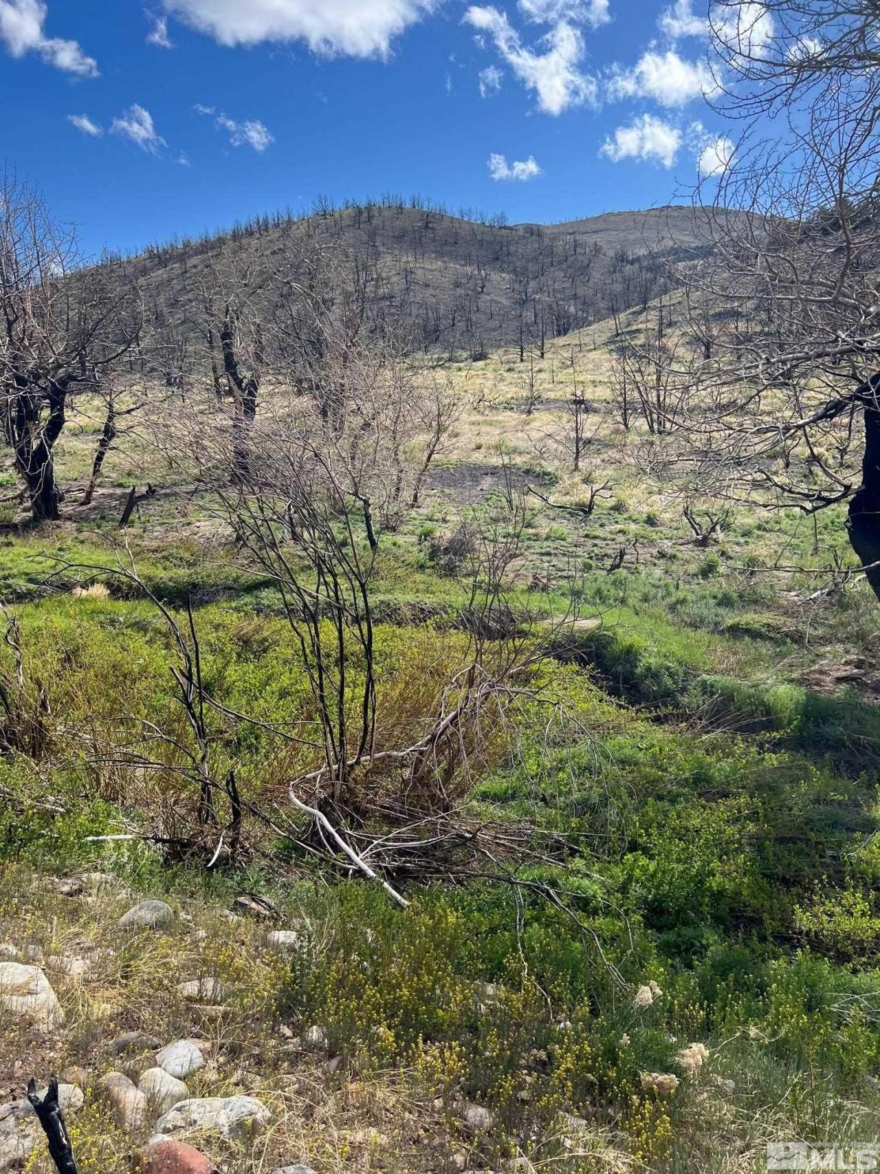 Tbd Parcels At Pine Nut Creek Area, Gardnerville, NV 89410 Photo