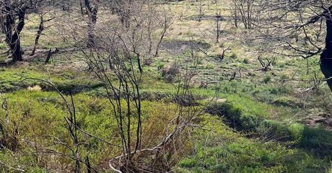 Tbd Parcels At Pine Nut Creek Area, Gardnerville, NV 89410 Photo