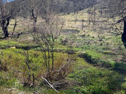 Tbd Parcels At Pine Nut Creek Area, Gardnerville, NV 89410 Photo