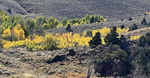 Tbd Parcels At Pine Nut Creek Area, Gardnerville, NV 89410 Photo