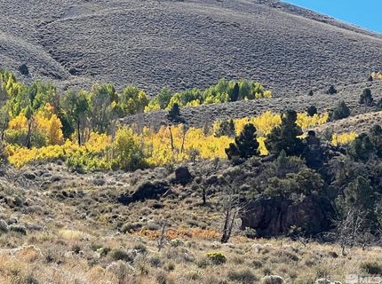 Tbd Parcels At Pine Nut Creek Area, Gardnerville, NV 89410 Photo