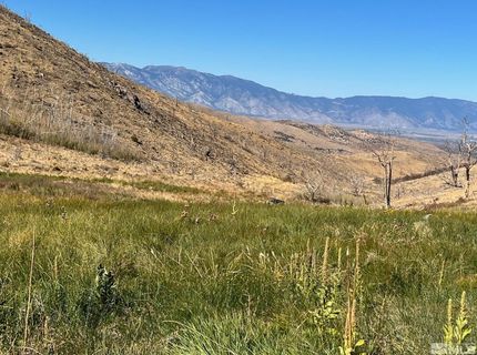 Tbd Parcels At Pine Nut Creek Area, Gardnerville, NV 89410 Photo