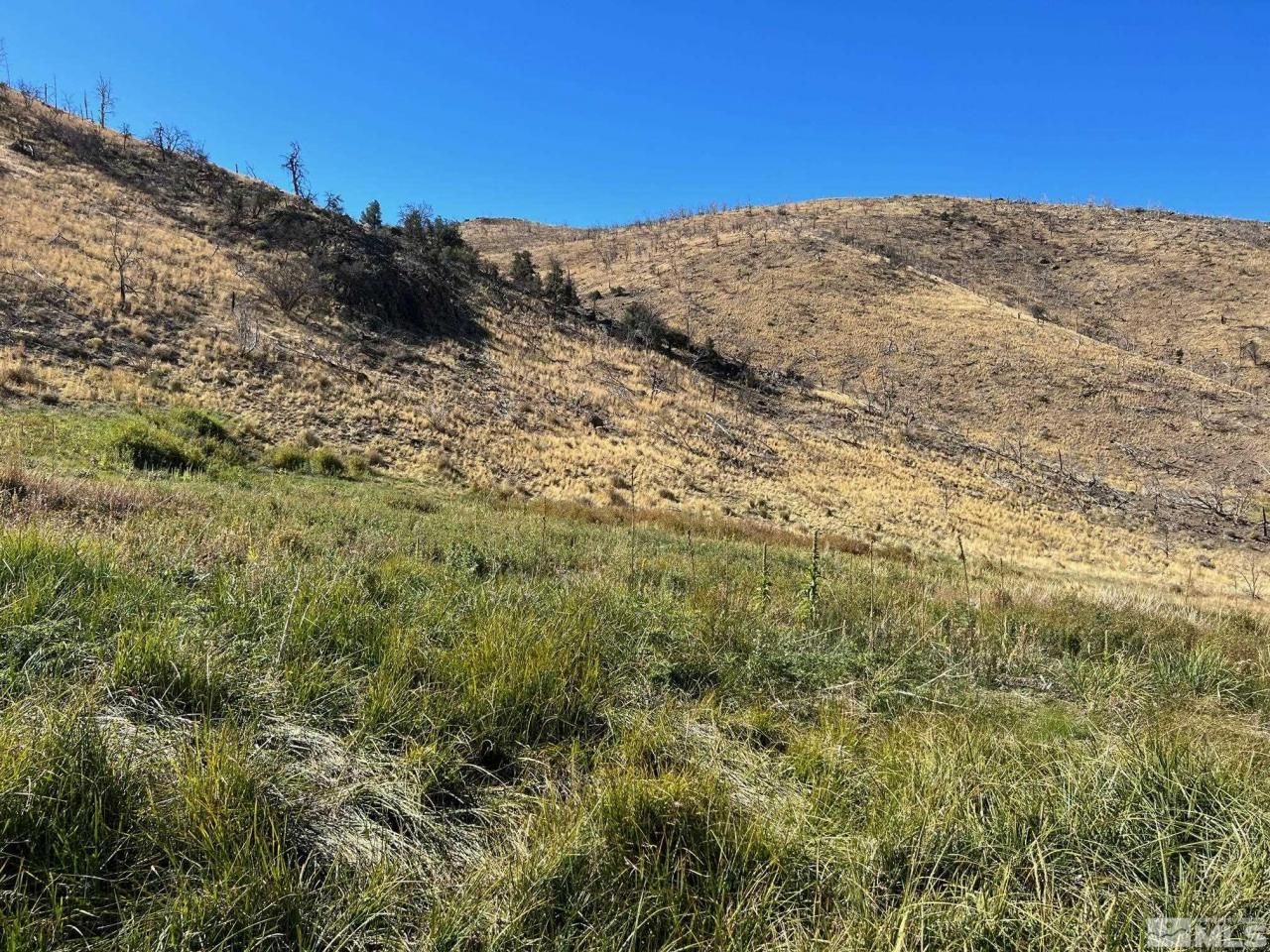 Tbd Parcels At Pine Nut Creek Area, Gardnerville, NV 89410 Photo