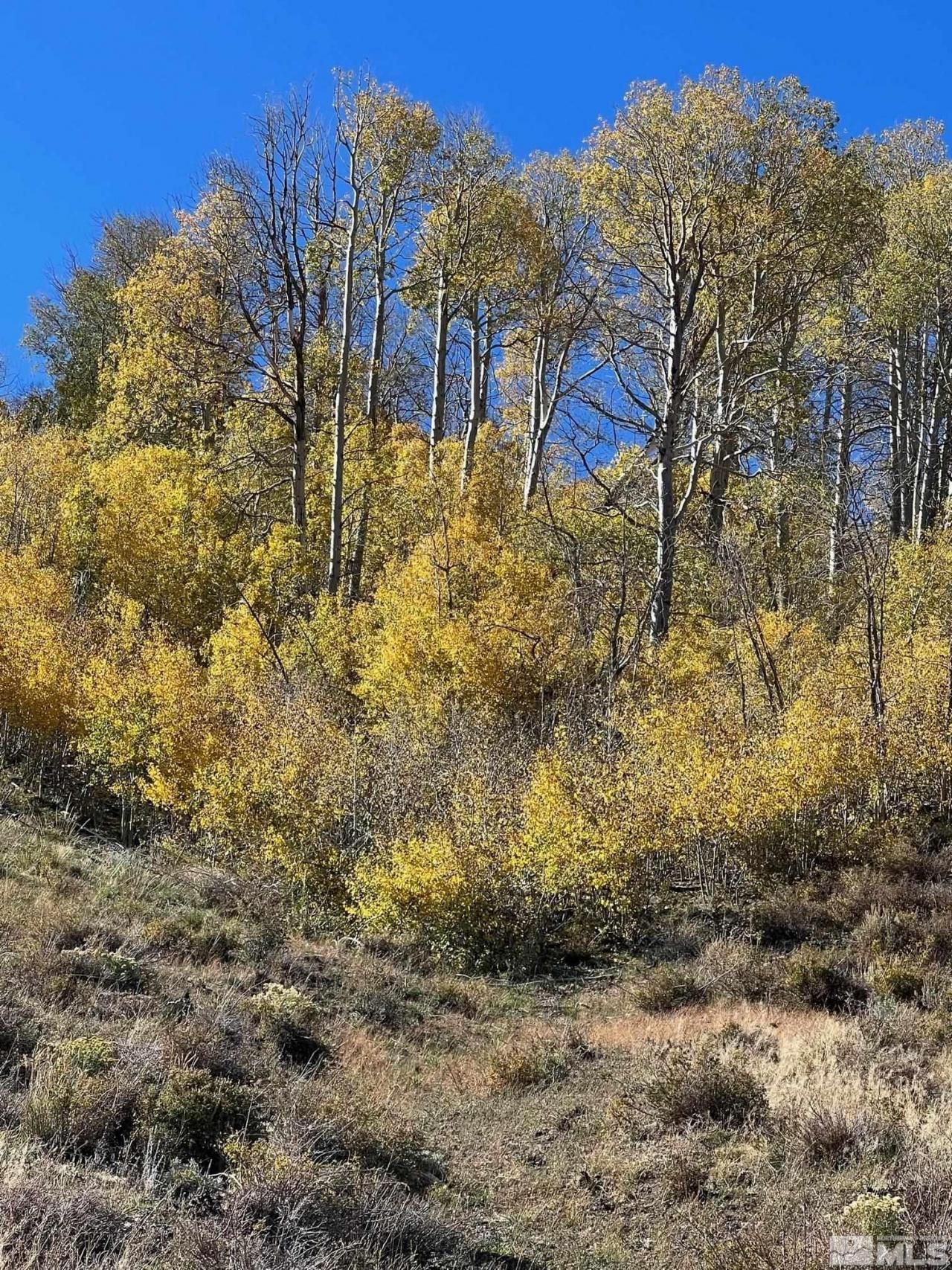 Tbd Parcels At Pine Nut Creek Area, Gardnerville, NV 89410 Photo