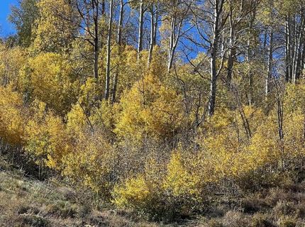 Tbd Parcels At Pine Nut Creek Area, Gardnerville, NV 89410 Photo