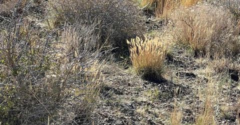 Tbd Parcels At Pine Nut Creek Area, Gardnerville, NV 89410 Photo