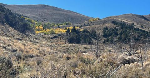 Tbd Parcels At Pine Nut Creek Area, Gardnerville, NV 89410 Photo