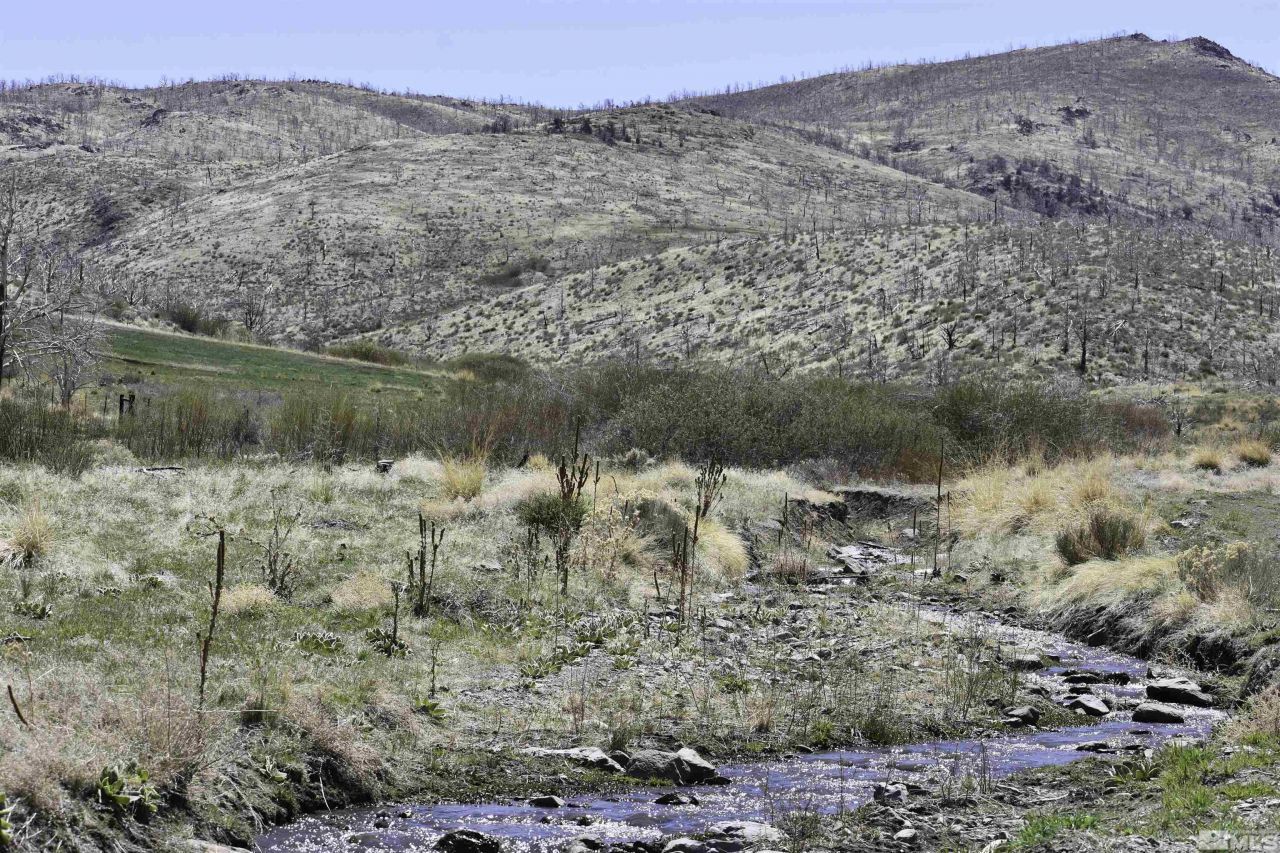 Tbd Parcels At Pine Nut Creek Area, Gardnerville, NV 89410 Photo