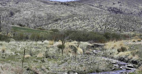 Tbd Parcels At Pine Nut Creek Area, Gardnerville, NV 89410 Photo