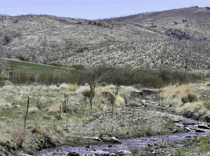 Tbd Parcels At Pine Nut Creek Area, Gardnerville, NV 89410 Photo