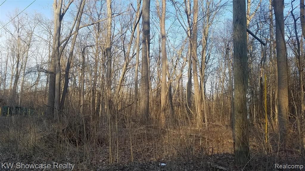 5 Benstein, Commerce Township, MI 48382 Main Photo