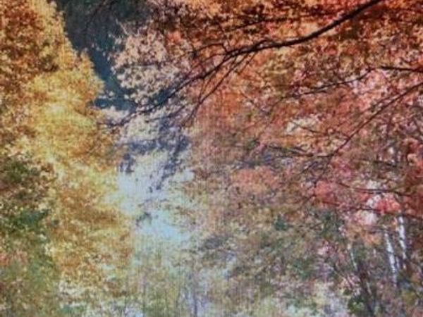 00 Trillium Lane, Mars Hill, NC 28754