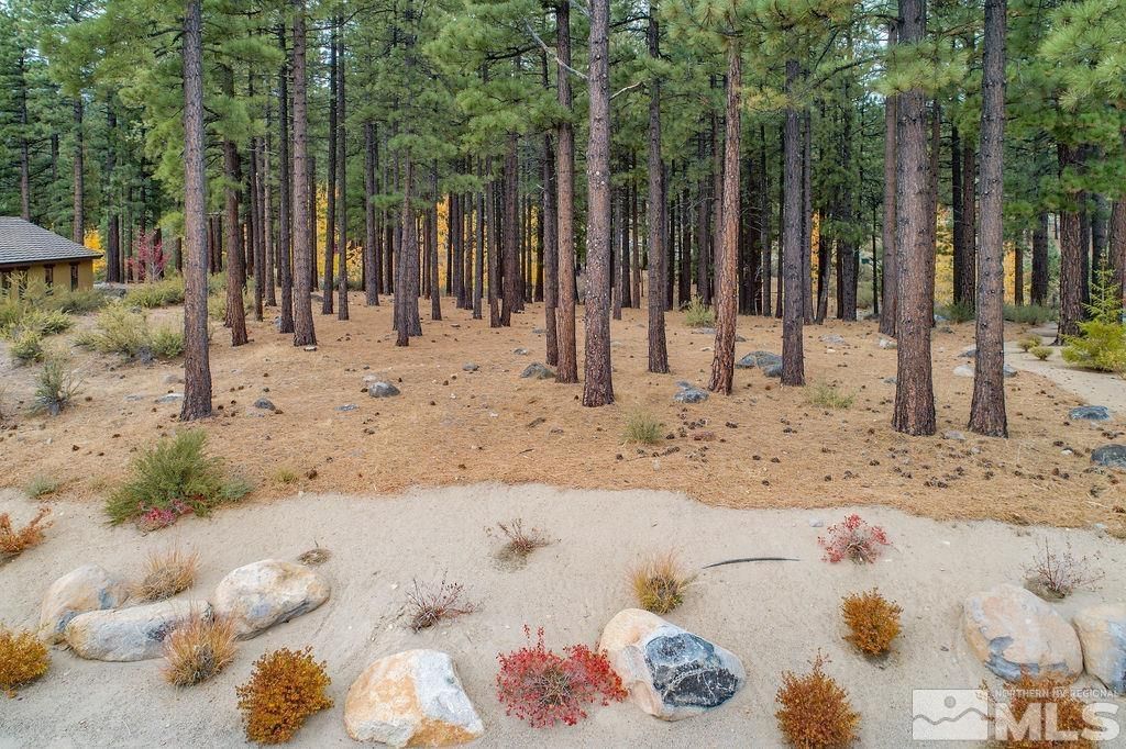 20647 Chanson Way, Reno, NV 89511 Photo