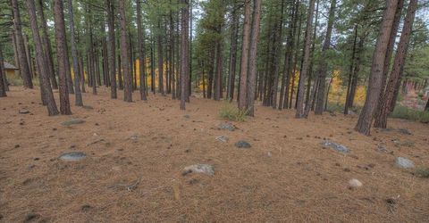 20647 Chanson Way, Reno, NV 89511 Photo