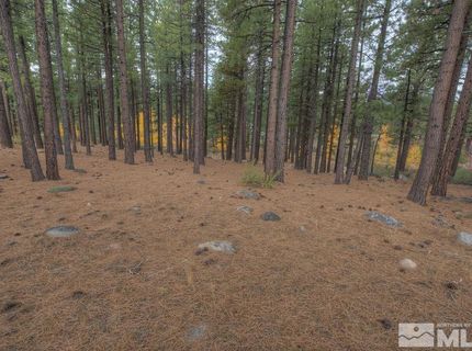 20647 Chanson Way, Reno, NV 89511 Photo