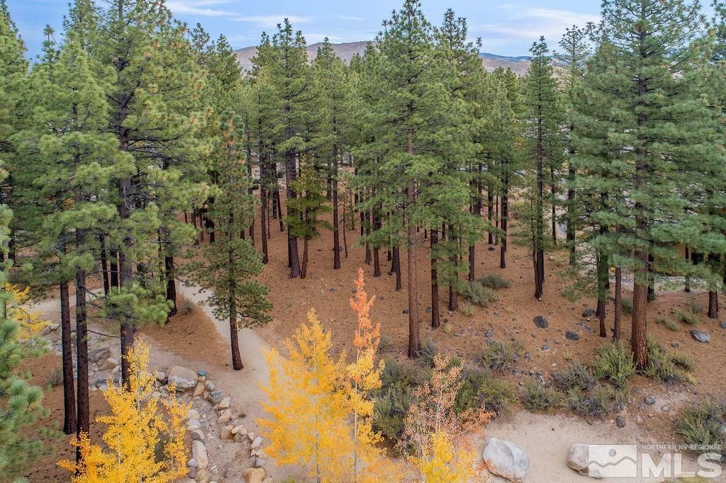 20647 Chanson Way, Reno, NV 89511 Photo