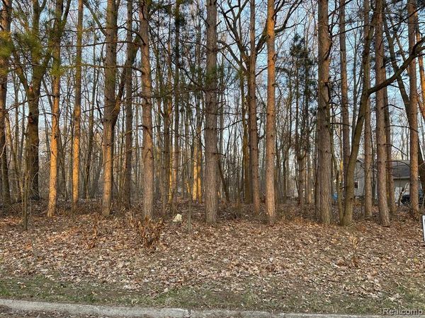 9127 Pineview Lake, Argentine Twp, MI 48451