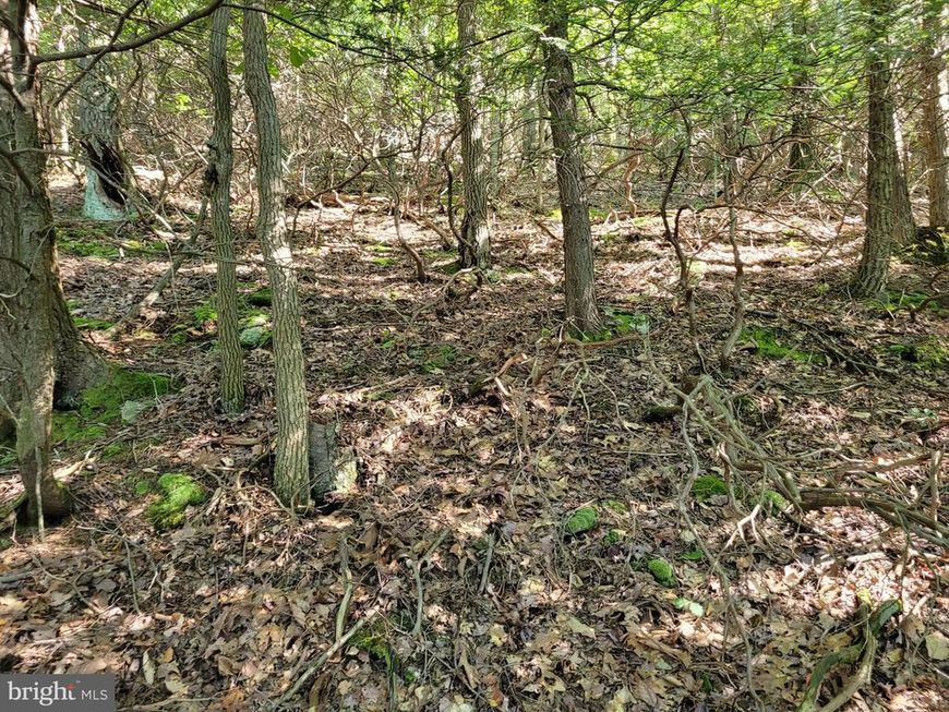 Lot 89 Ridge Run, Claysburg, PA 16625 Main Photo