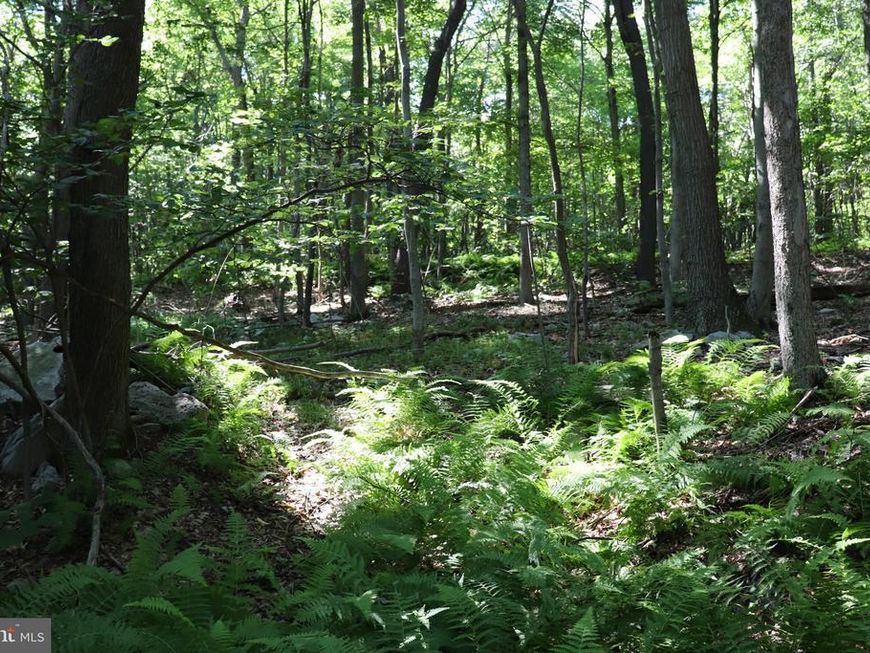 Lot 312 Ridge Run, Claysburg, PA 16625 Main Photo