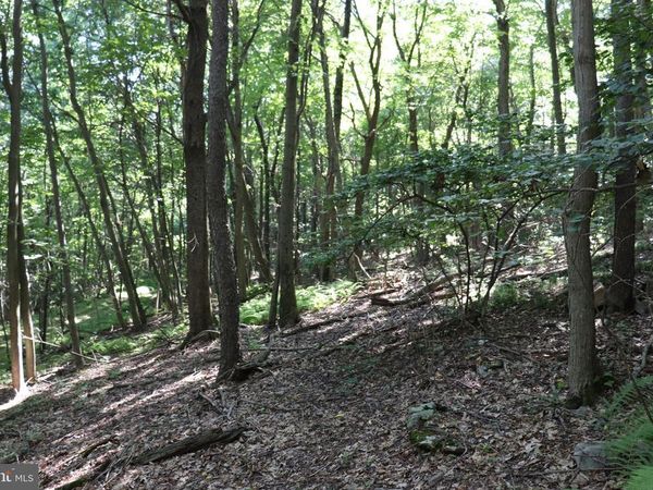 LOT 319 RIDGE RUN, CLAYSBURG, PA 16625