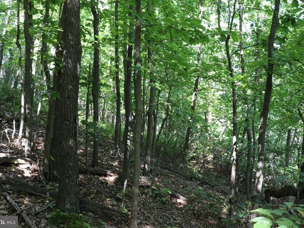 LOT 320 RIDGE RUN, CLAYSBURG, PA 16625