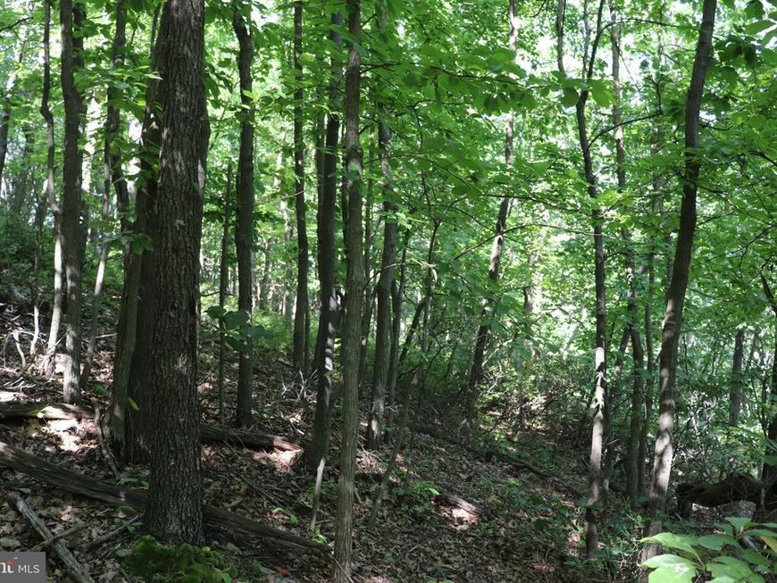 Lot 320 Ridge Run, Claysburg, PA 16625 Main Photo