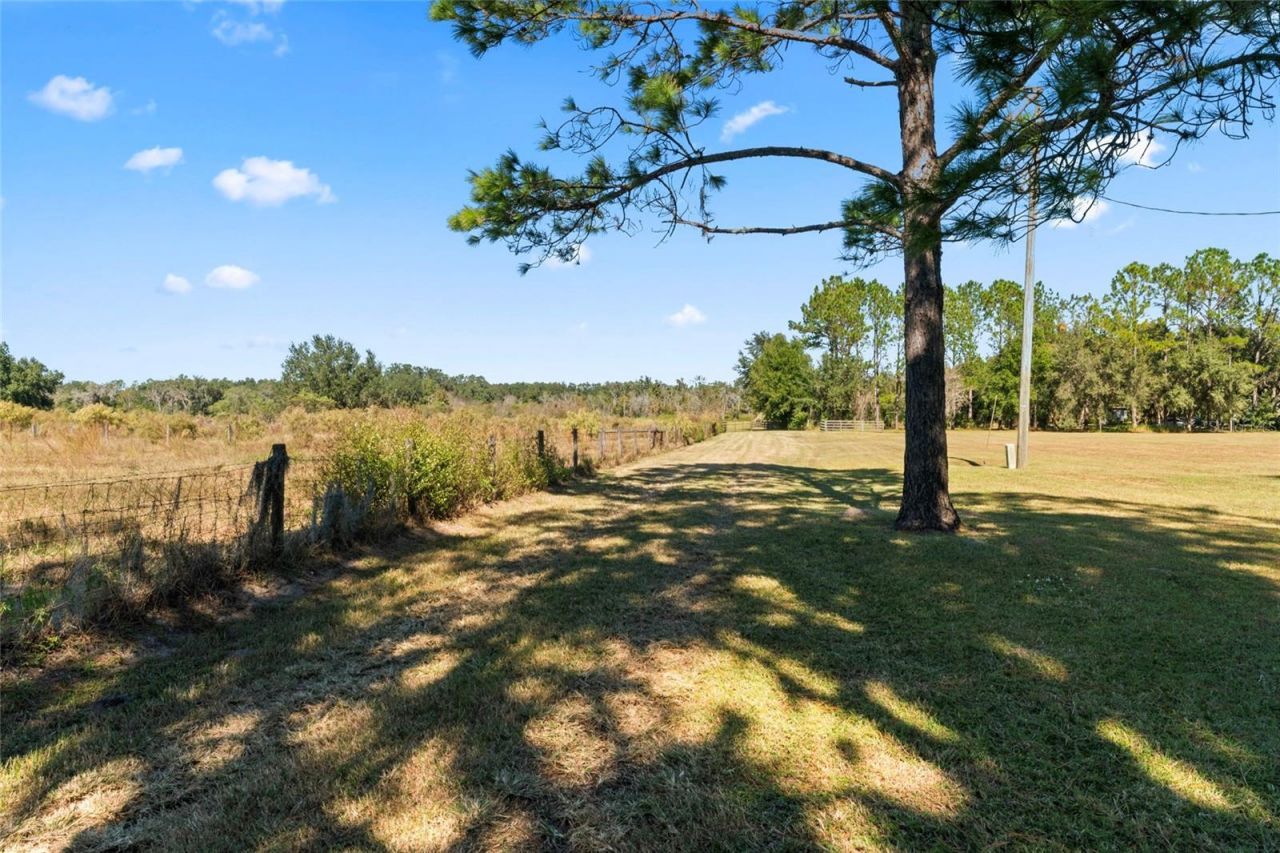 0 County Road 52, San Antonio, FL 33576 Photo