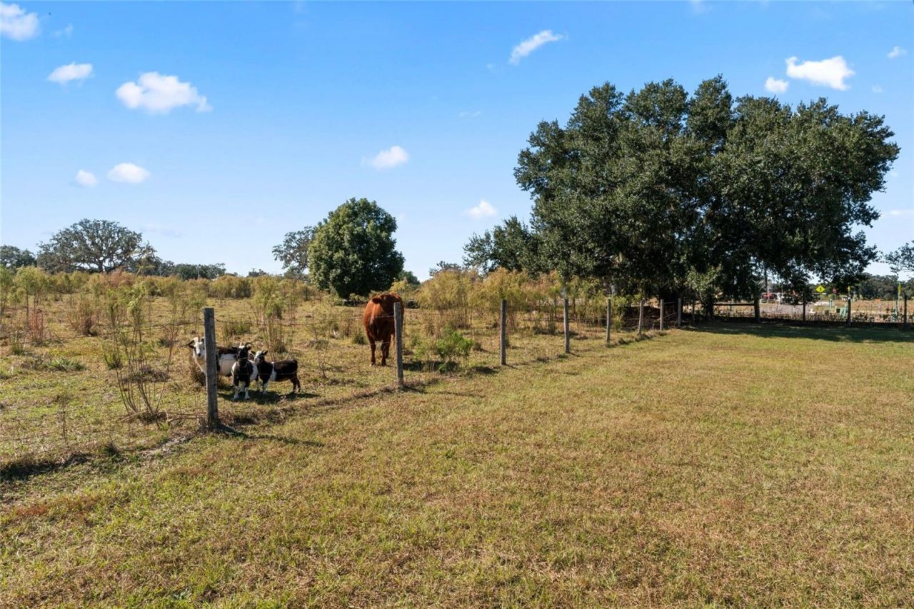 0 County Road 52, San Antonio, FL 33576 Photo