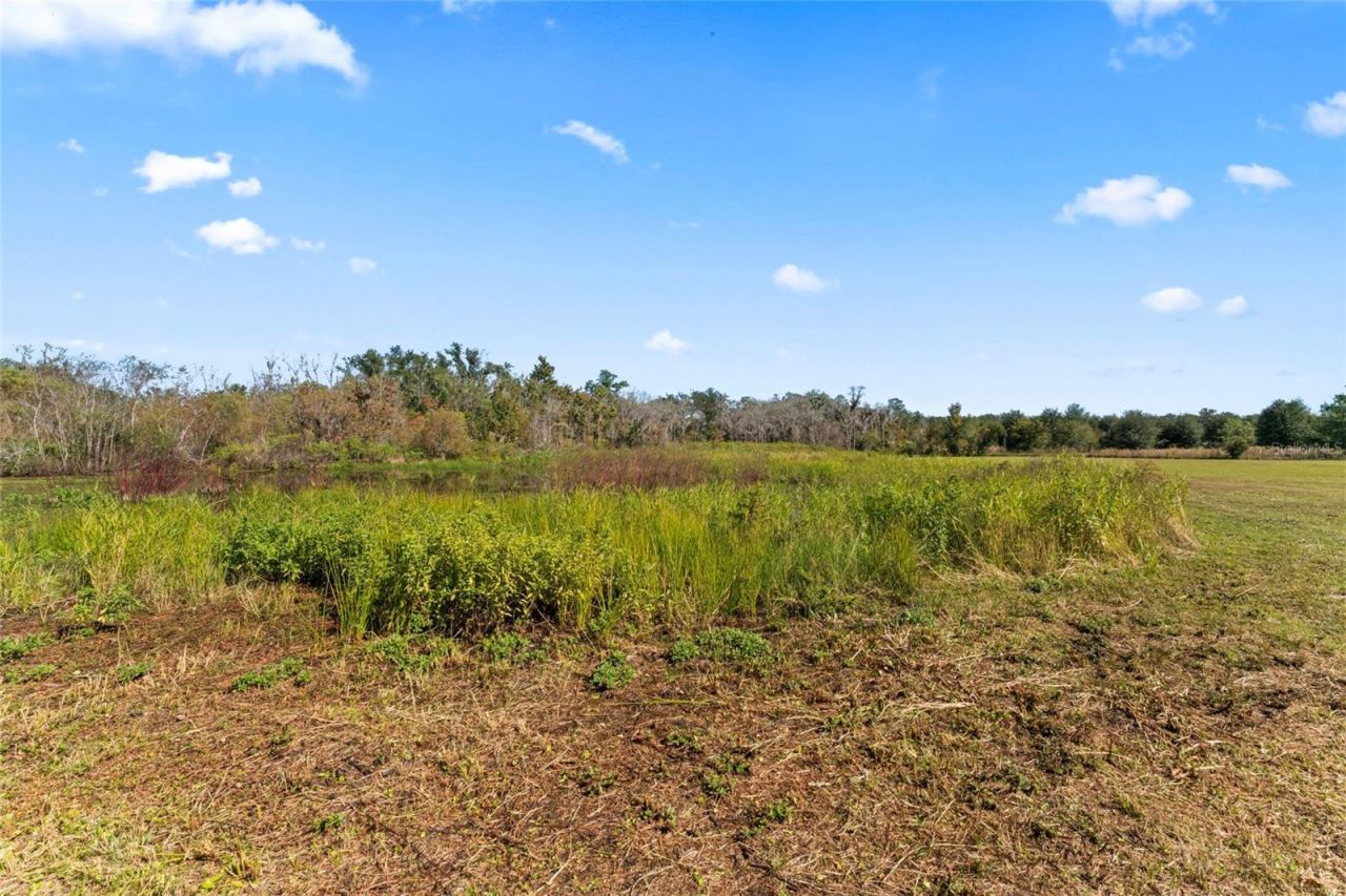 0 County Road 52, San Antonio, FL 33576 Photo