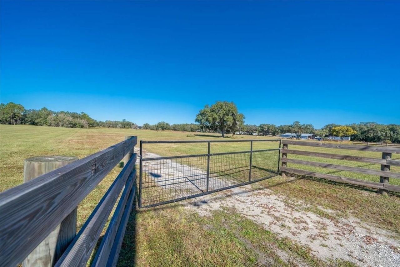 31935 County Road 52, San Antonio, FL 33576 Photo