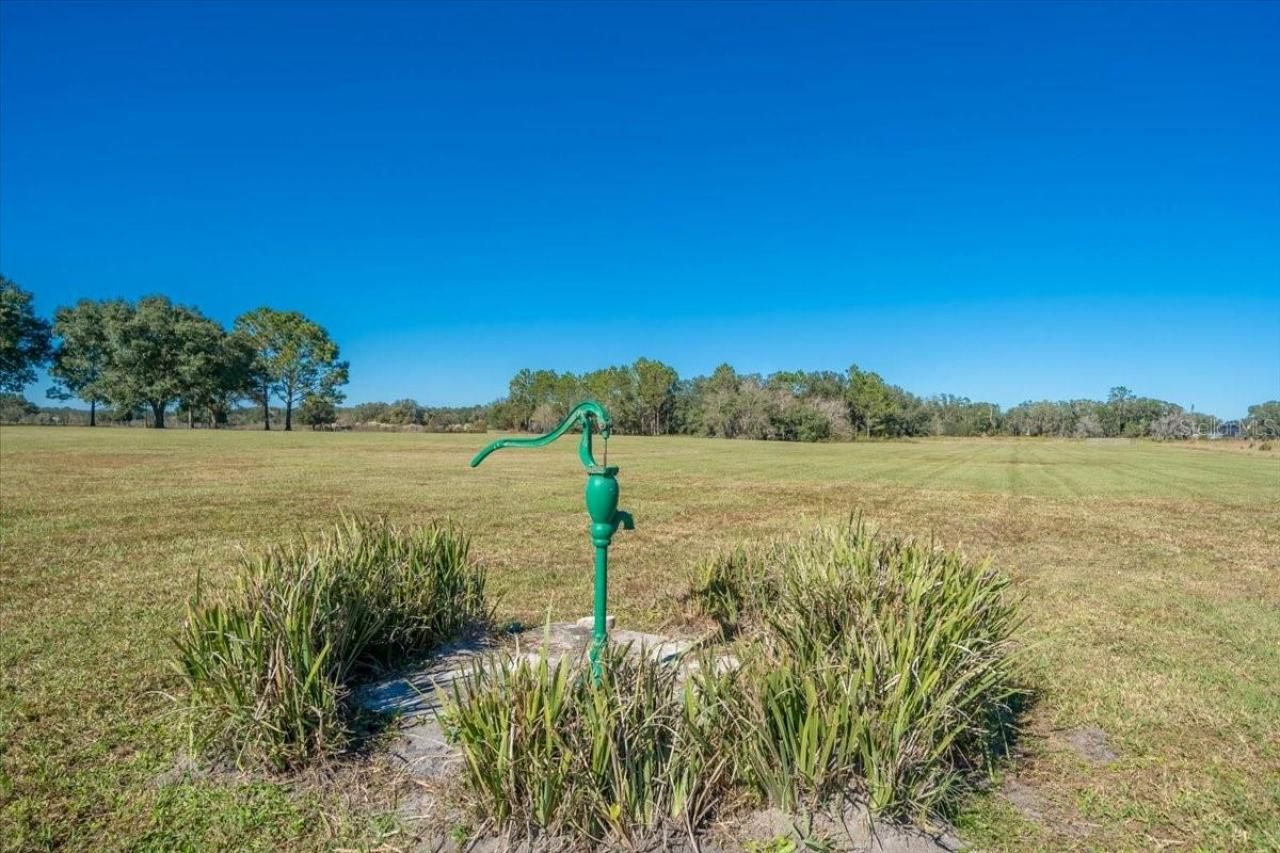 31935 County Road 52, San Antonio, FL 33576 Photo