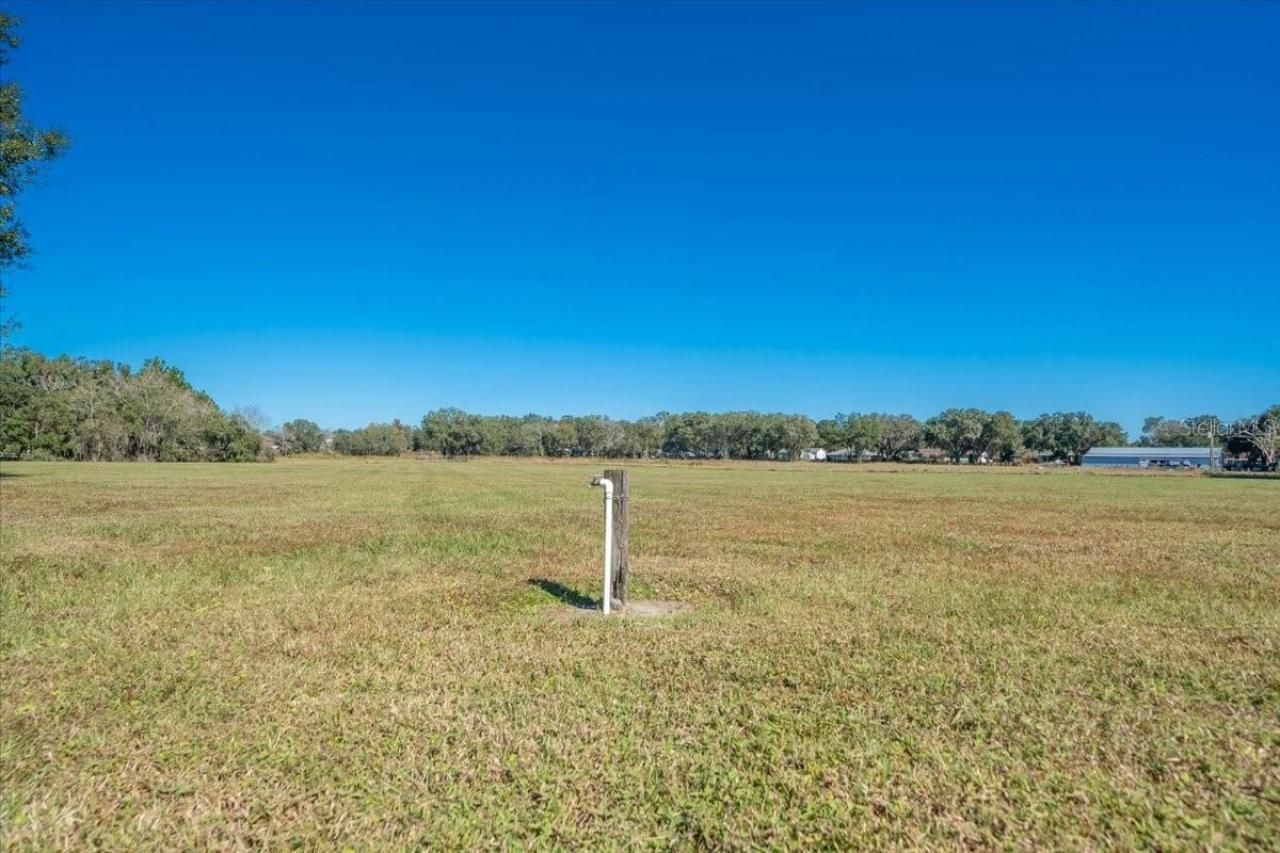 31935 County Road 52, San Antonio, FL 33576 Photo