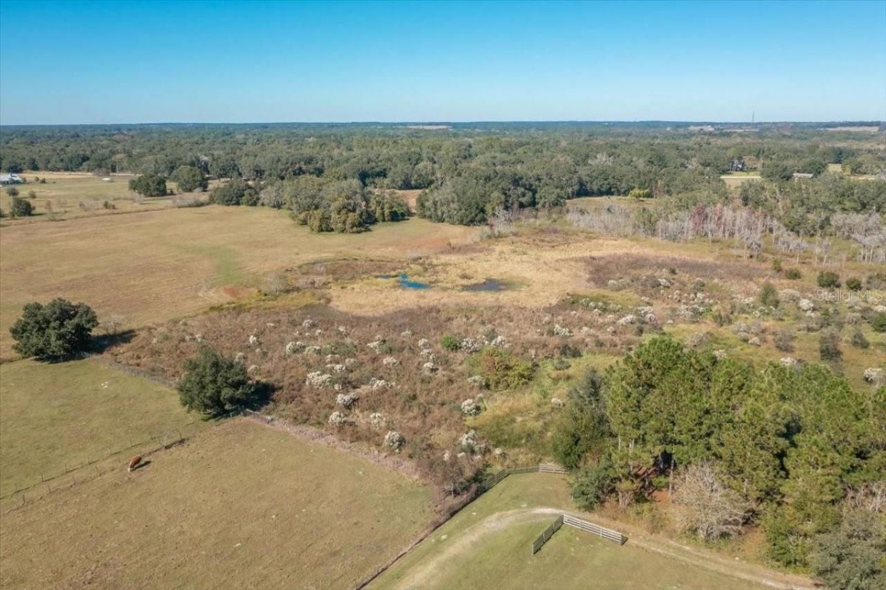 31935 County Road 52, San Antonio, FL 33576 Photo