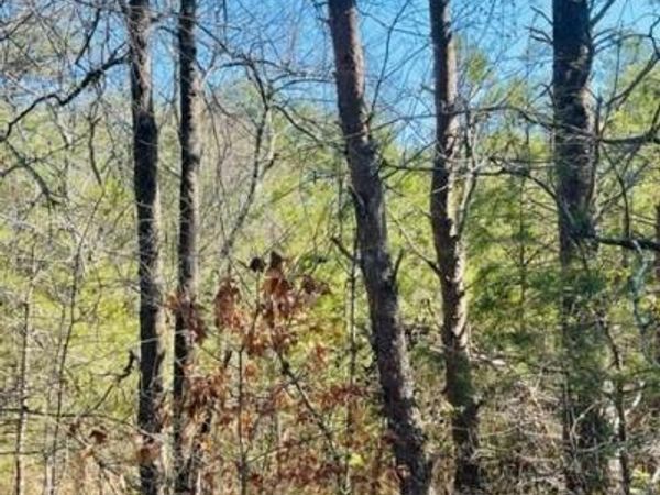 0 Ridge Drive, Connelly Springs, NC 28612