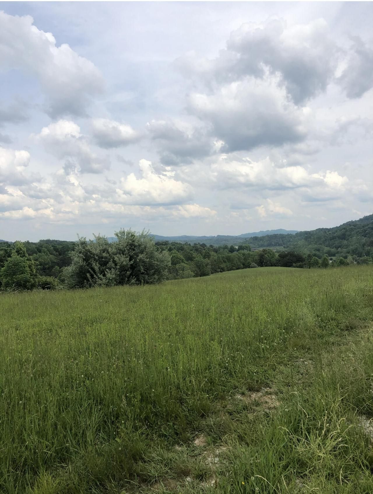 0 Lloyd Hol Road, Lot #Tracts 15, Corbin, KY 40701 Main Photo