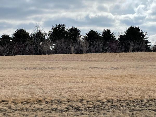 531 Hillcrest Street, Edgerton, MN 56128