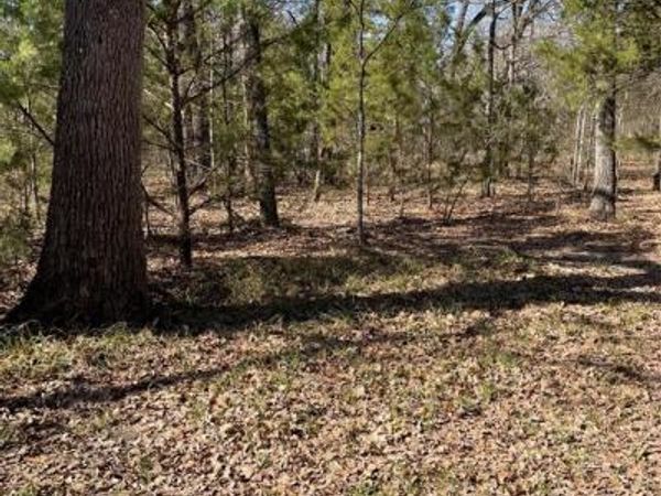 0 Double Bridge Road, Mabank, TX 75156