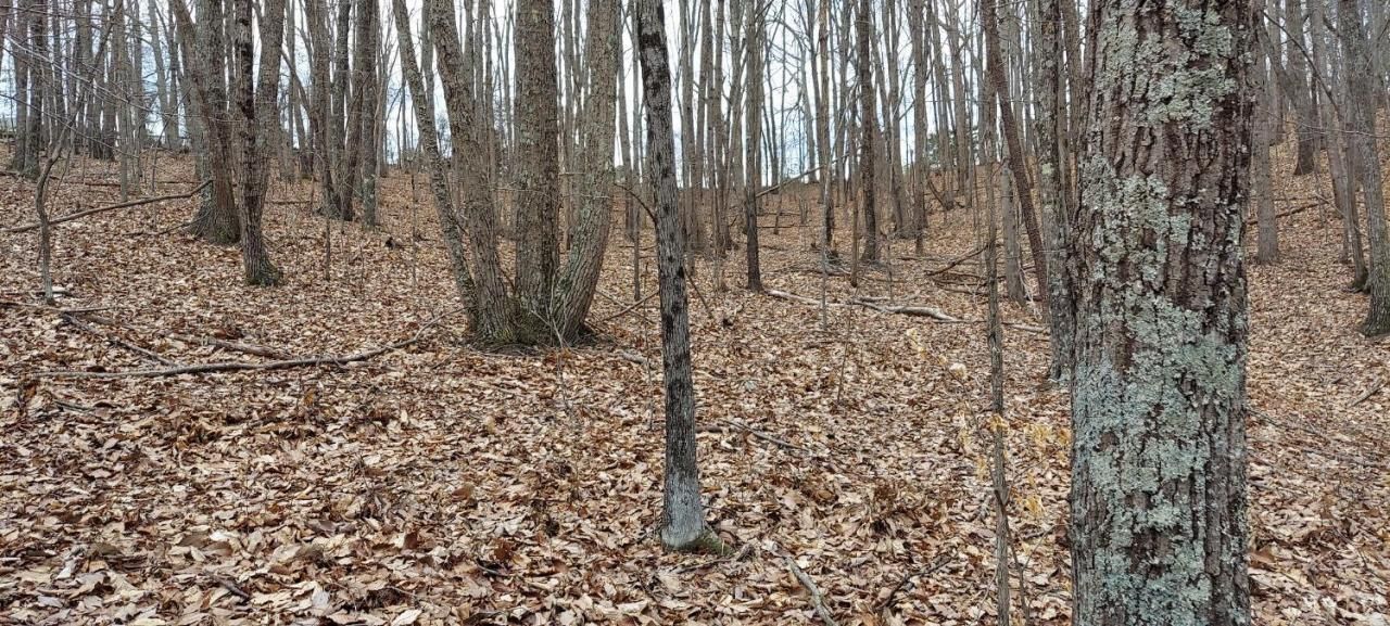 0 Camellia Lane, Hurt, VA 24563