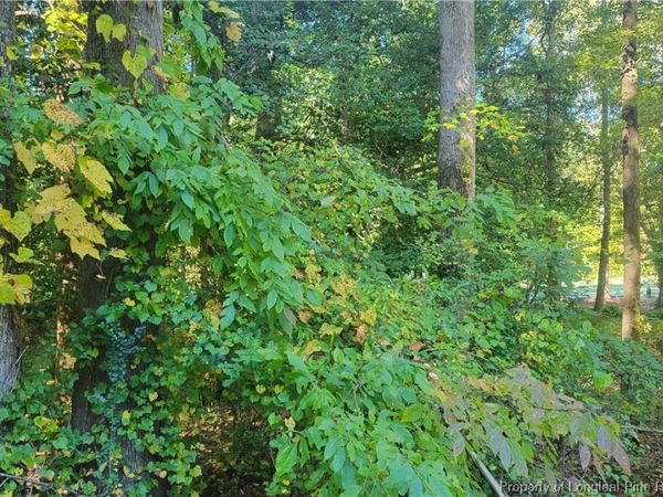 636 Angus Court, Sanford, NC 27332