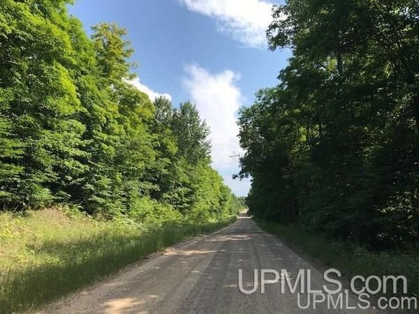 TBD Rock River Road, Onota Twp, MI 49822