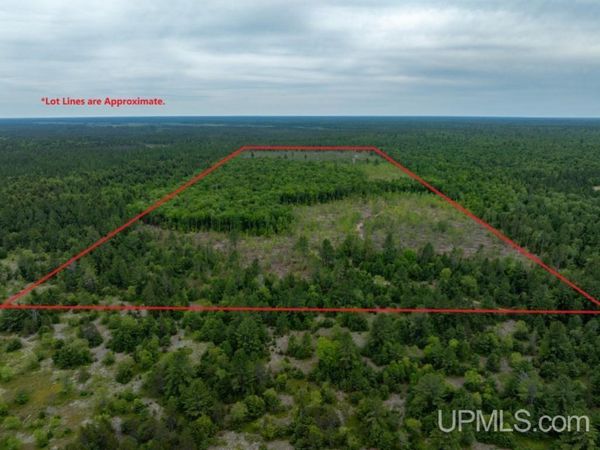 TBD Off Co Rd 450 Road, Seney Twp, MI 49883